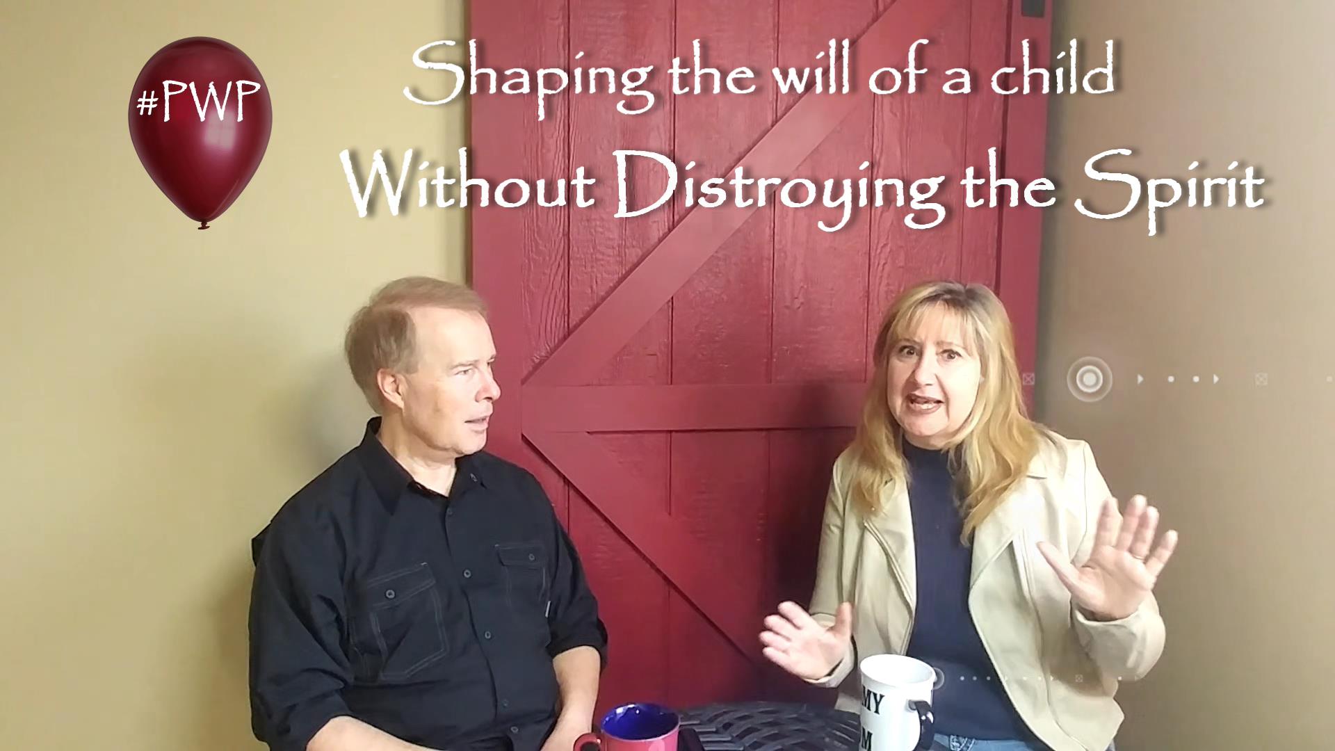 Shape the Will/Destroy the Spirit